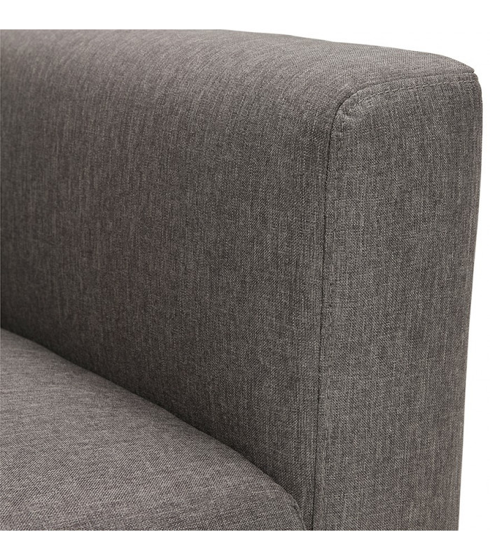 Canapé design gris foncé en tissu Abbey Mini